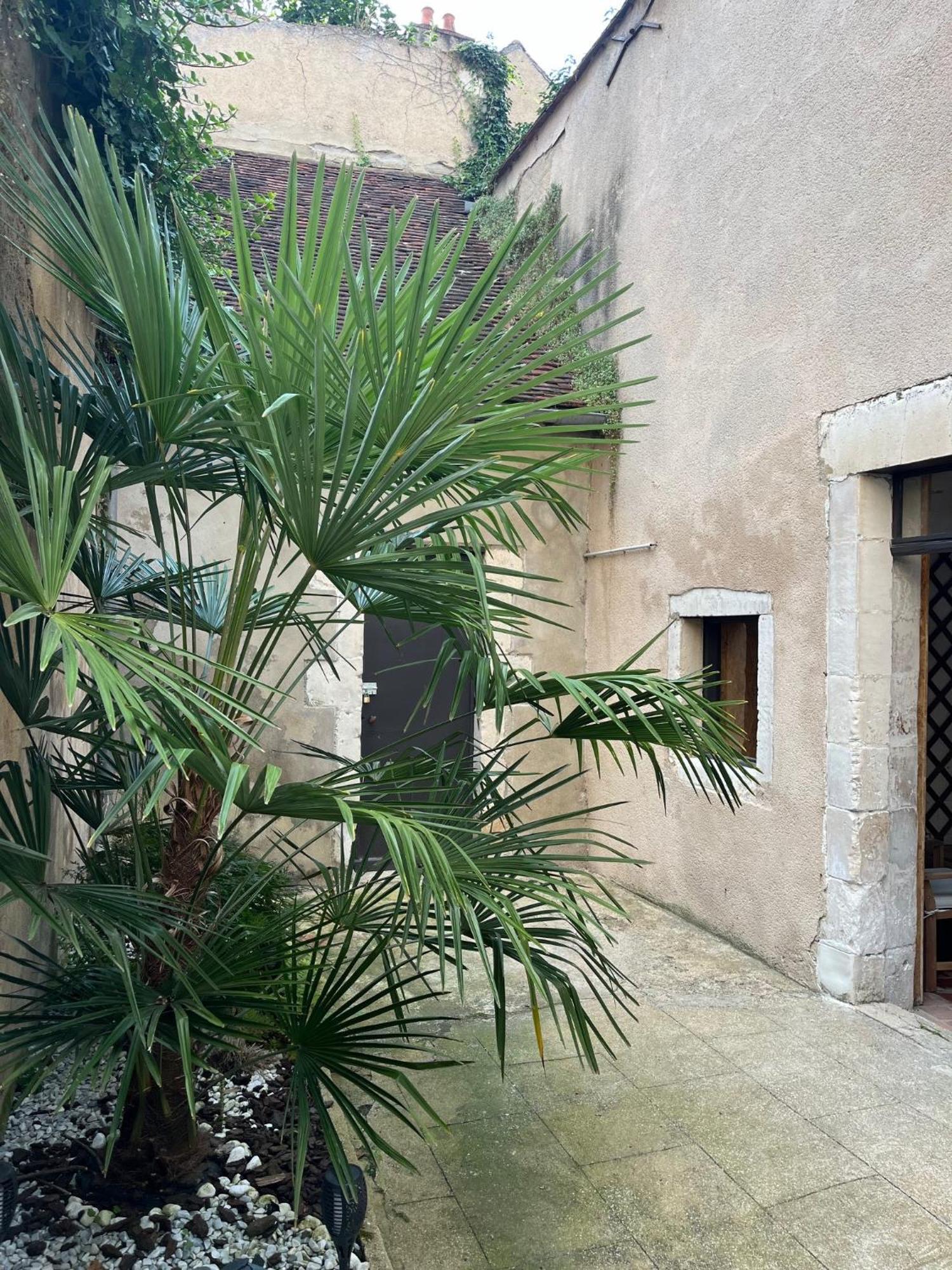 Cosy Appartement Hyper Centre Ville Avec Cour + Patio أوكْسير المظهر الخارجي الصورة